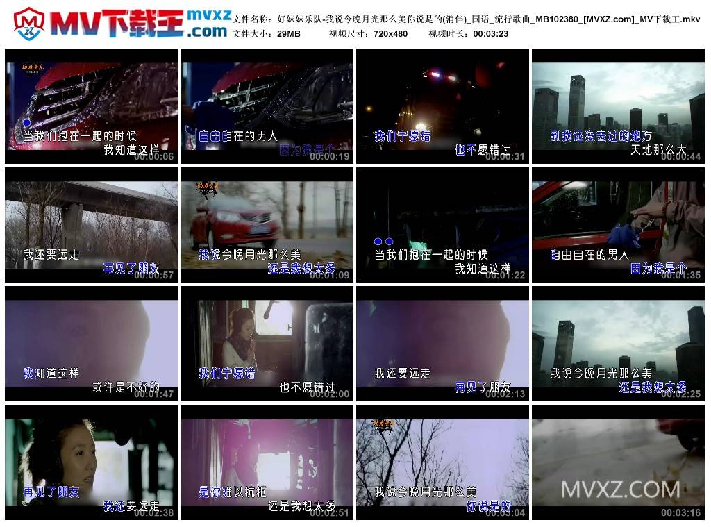 好妹妹乐队-我说今晚月光那么美你说是的(消伴)_国语_流行歌曲_MB102380